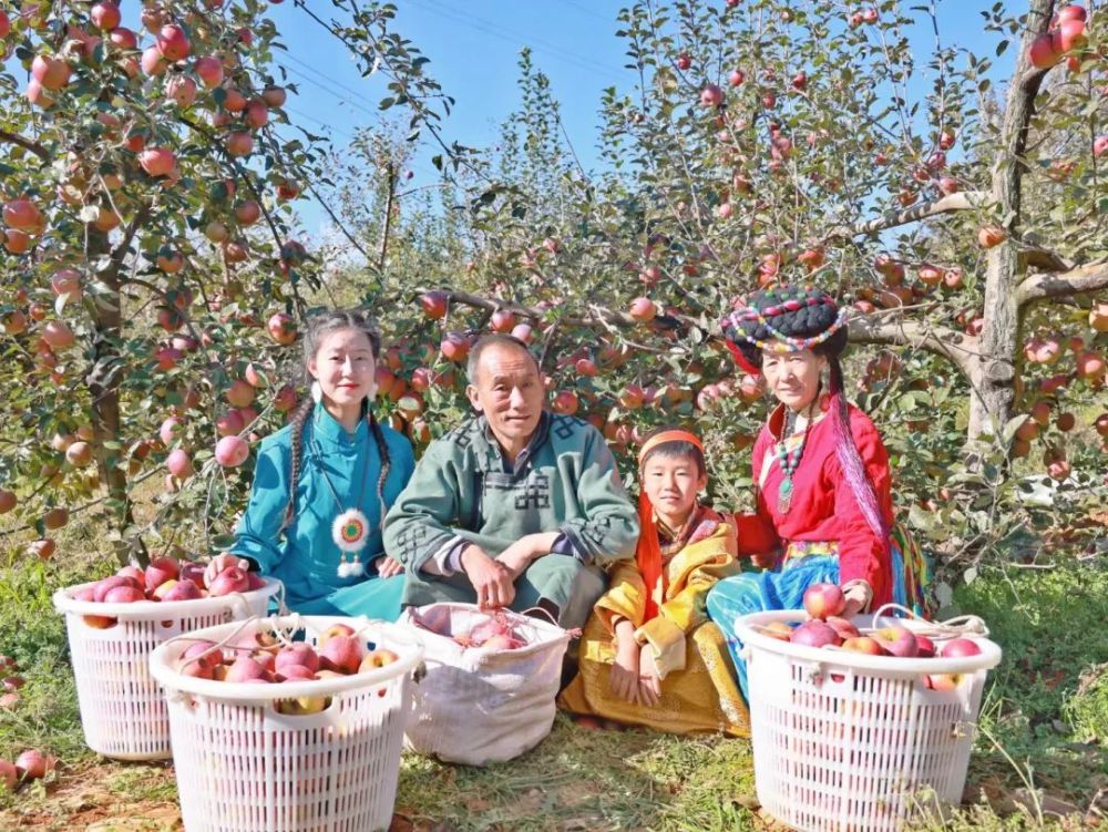 盐源苹果园新闻盐源为什么不建议买-第1张图片-太平洋在线下载