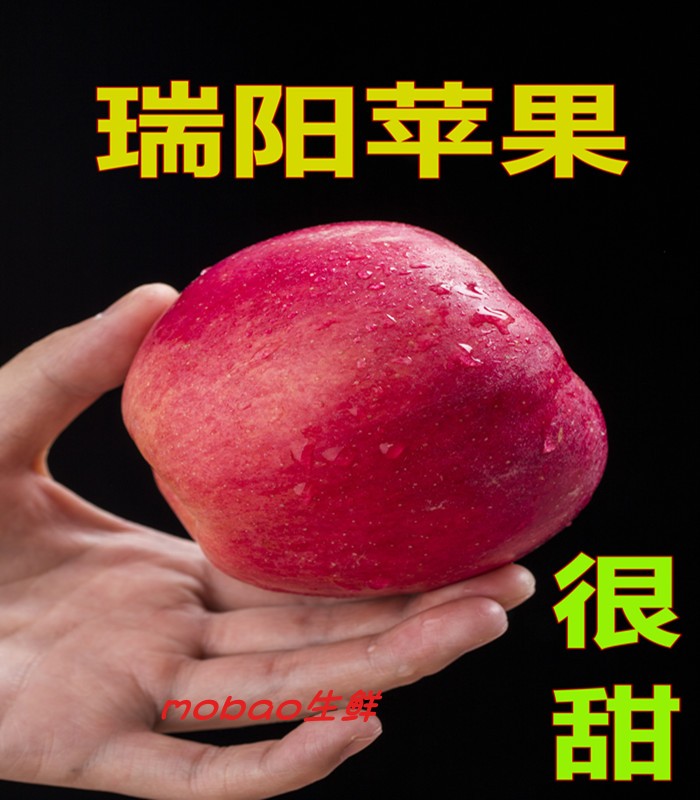 苹果礼盒迎来销售高峰新闻苹果史上最贵新品遇冷砍单95-第2张图片-太平洋在线下载
