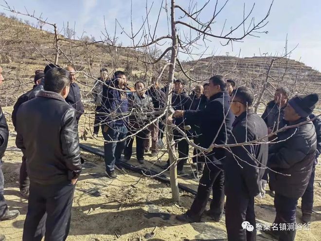 苹果种植技术培训新闻最近关于苹果手机的新闻-第2张图片-太平洋在线下载