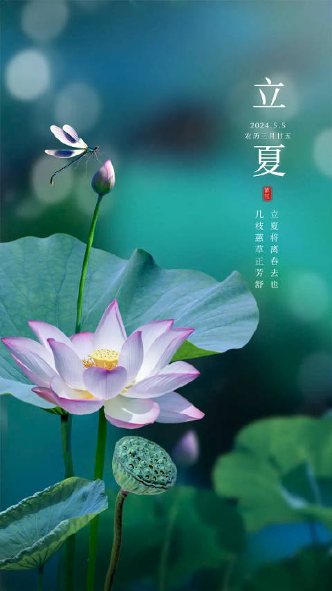 2017年手机版开奖记录正版资料大全全年2019小说-第2张图片-太平洋在线下载