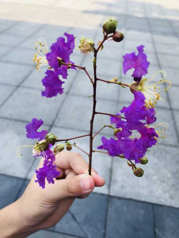 华容手机版华容都管app