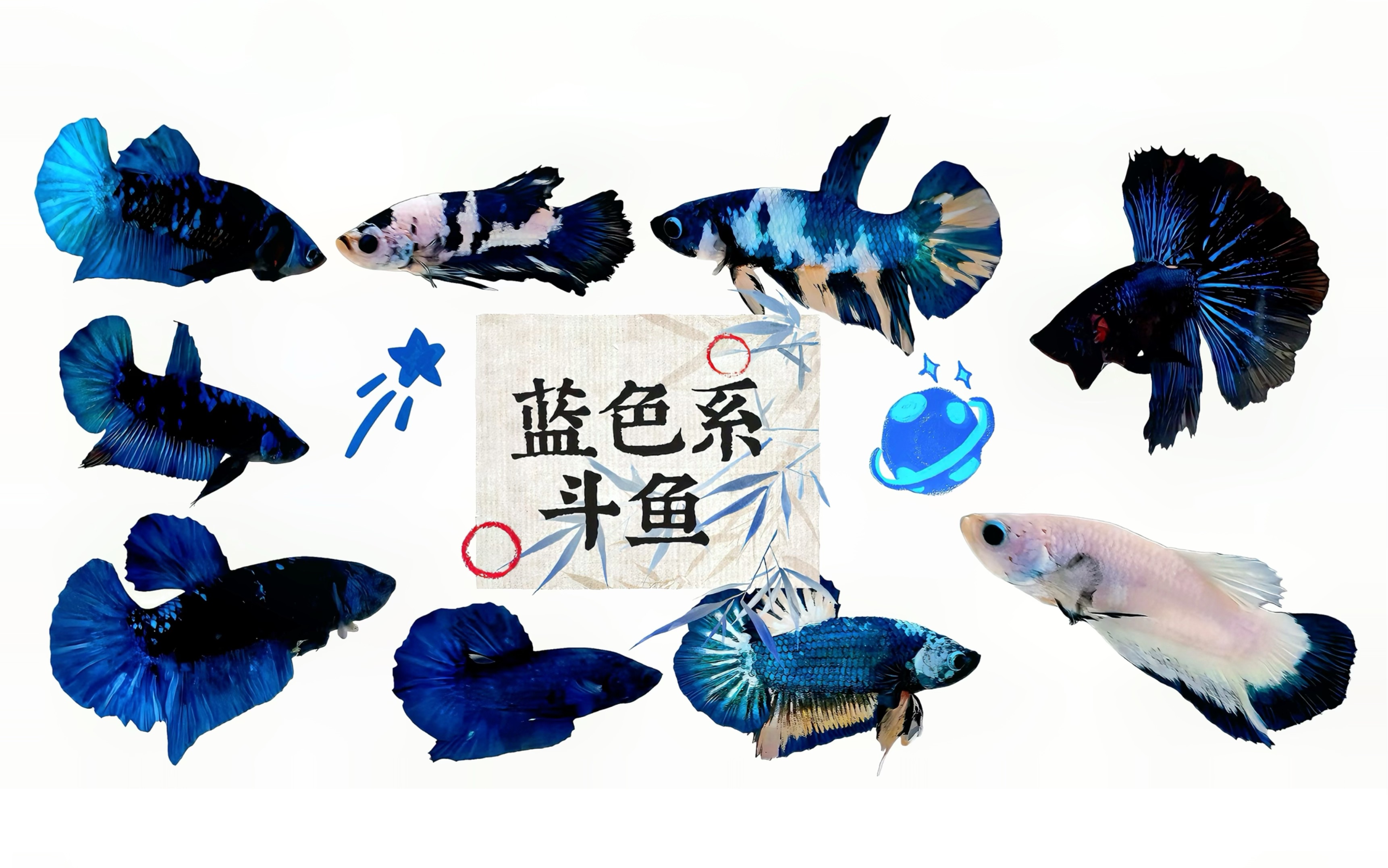 斗鱼uwp客户端虎牙直播uwp版下载不了-第2张图片-太平洋在线下载