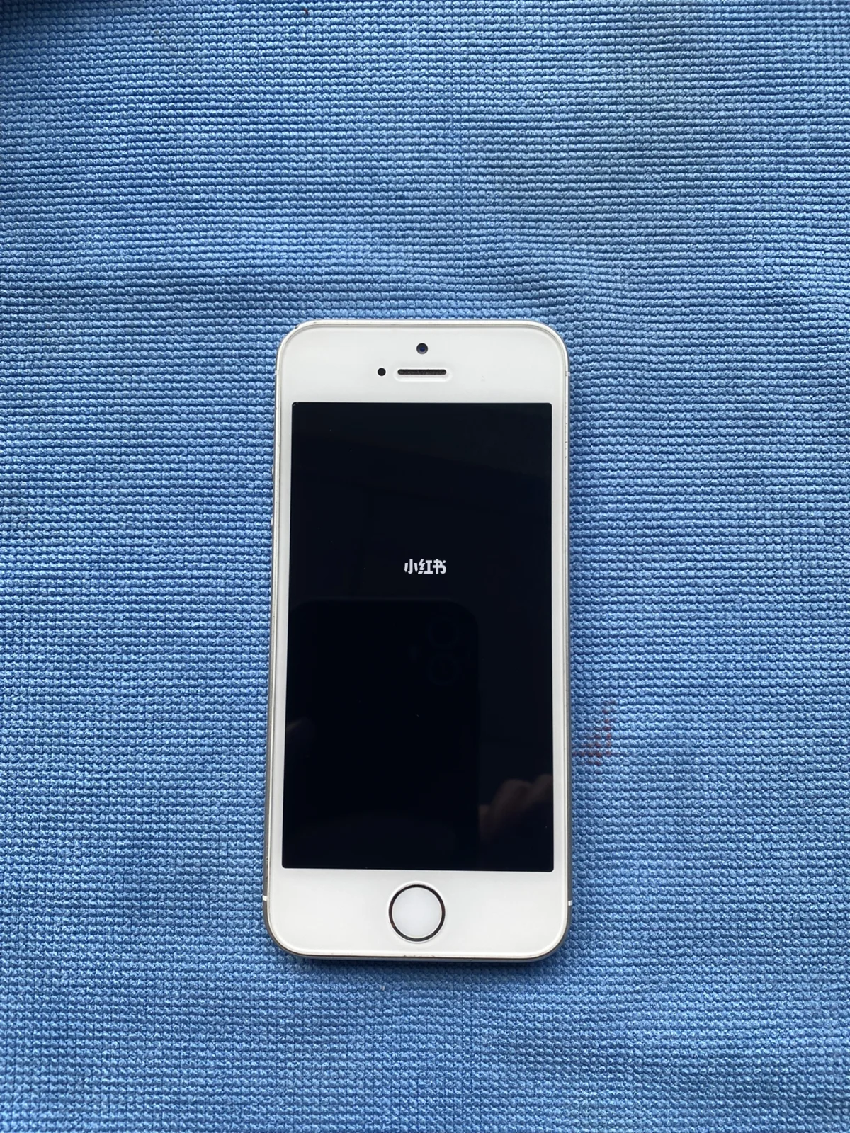 苹果set版s版v版(苹果s版和t版有啥区别)