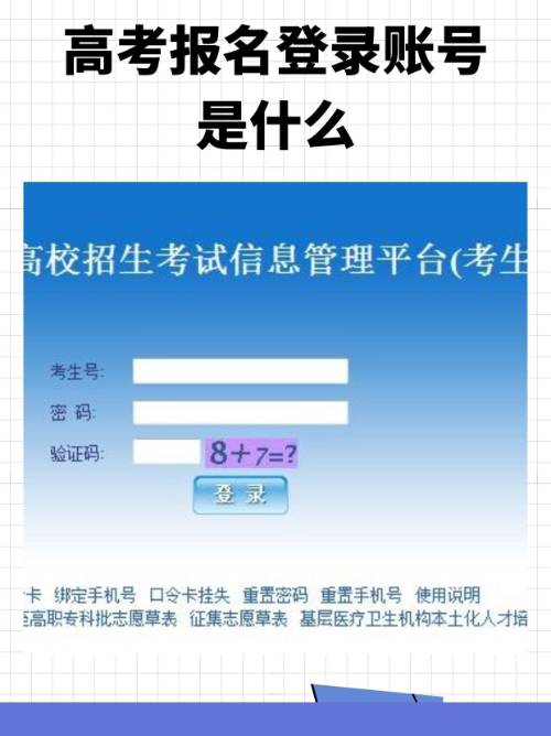升学e网通手机版登录(升学e网通登录入口 app)