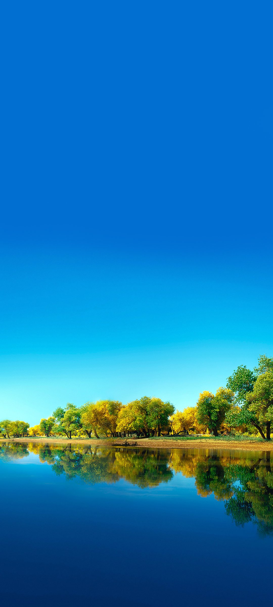 优美高清图手机版(优美高清图手机版下载)