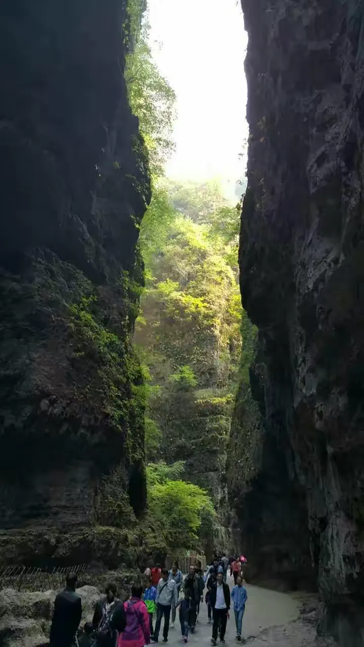 美行导航手机版(美行导航手机版下载安装)-第5张图片-QuickQ官网