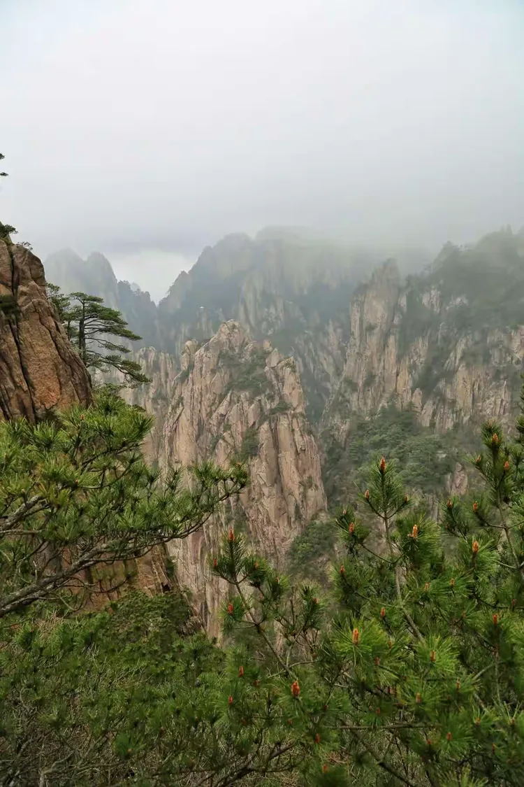 天下游手机版下载(天下游下载2020)