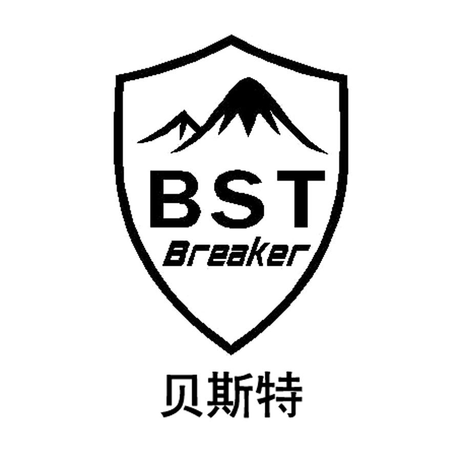 bst手机版pt贝斯特(贝斯特2222客户端下载)-第4张图片-QuickQ官网