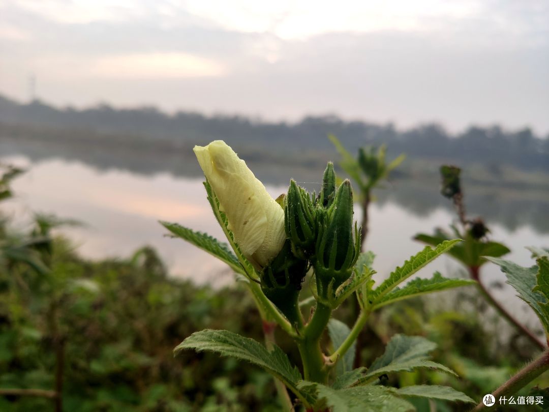 秋葵破解版安卓下载安装(陈星旭王玉雯新剧即将开播)-第1张图片-QuickQ官网