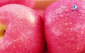 larkmix苹果版(lark安卓手机下载)-第3张图片-QuickQ官网