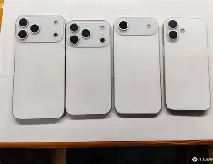 苹果rm版(苹果rm是什么版)