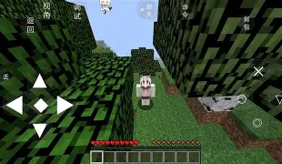 我的世界手机版网站(我的世界手机版网站入口)-第4张图片-QuickQ官网 我的世界手机版网站(我的世界手机版网站入口)-第4张图片-QuickQ官网