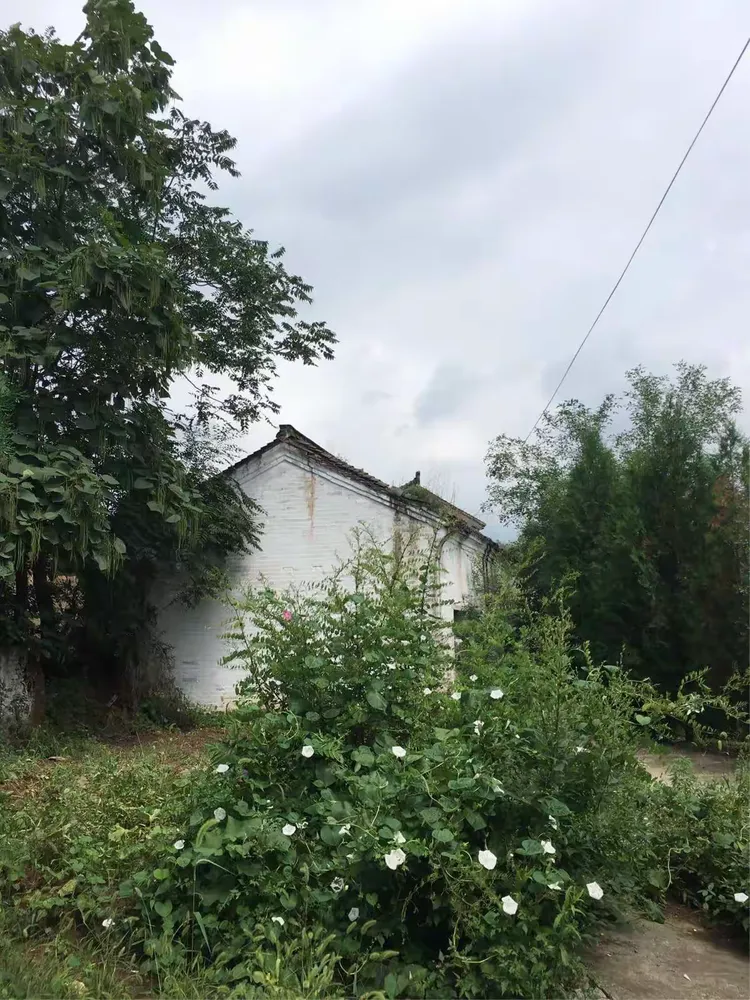 流浪的村庄手机版(流浪的村庄手机版怎么玩)-第1张图片-QuickQ官网