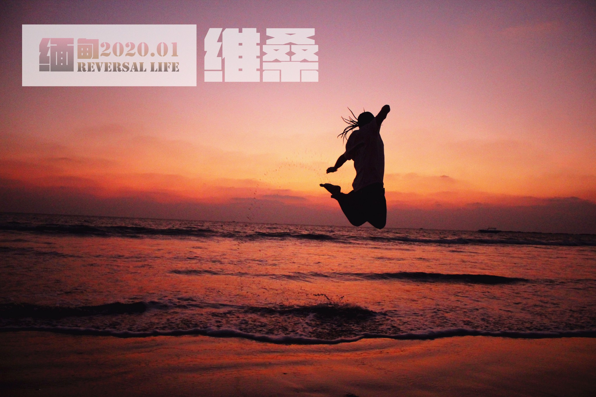 自由之城在线手机版(自由之城在线手机版下载)-第4张图片-QuickQ官网
